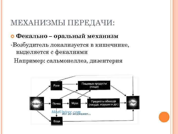 МЕХАНИЗМЫ ПЕРЕДАЧИ: Фекально – оральный механизм -Возбудитель локализуется в кишечнике, выделяется с фекалиями Например: