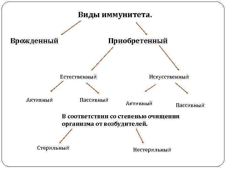 Иммунитет естественный и искусственный схема