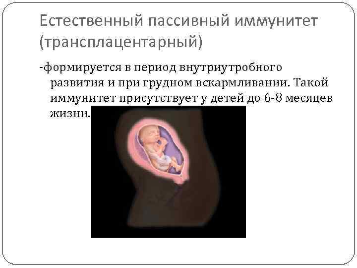 Естественный пассивный иммунитет (трансплацентарный) -формируется в период внутриутробного развития и при грудном вскармливании. Такой