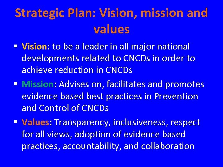 Strategic Plan: Vision, mission and values § Vision: to be a leader in all