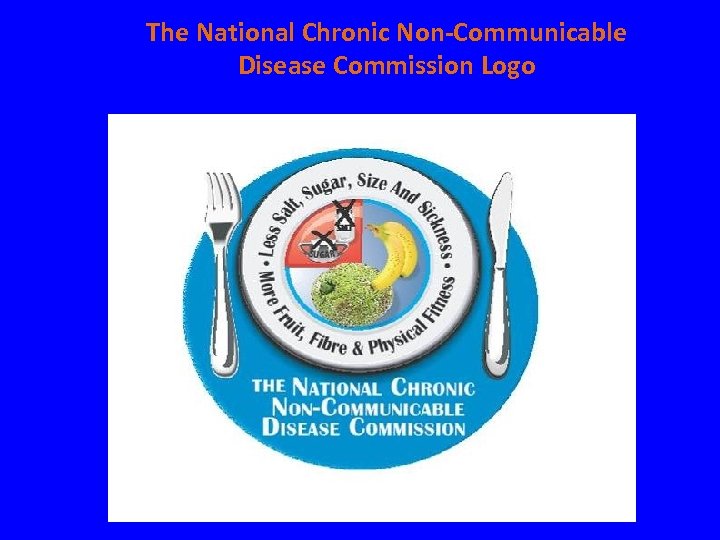 The National Chronic Non-Communicable Disease Commission Logo 