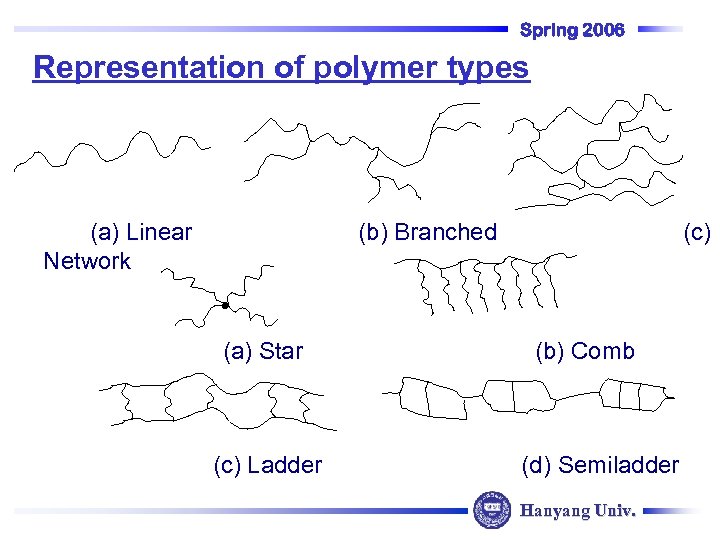 Spring 2006 Representation of polymer types (a) Linear Network (b) Branched (a) Star (c)