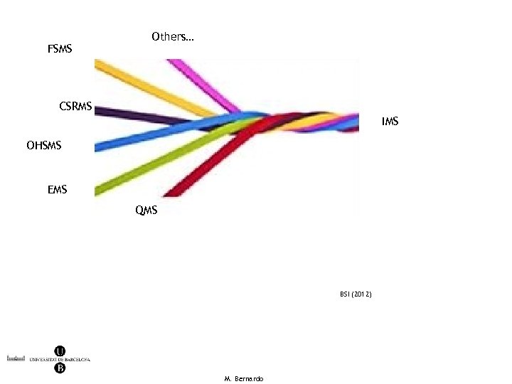 FSMS Others… CSRMS IMS OHSMS EMS QMS BSI (2012) M. Bernardo 
