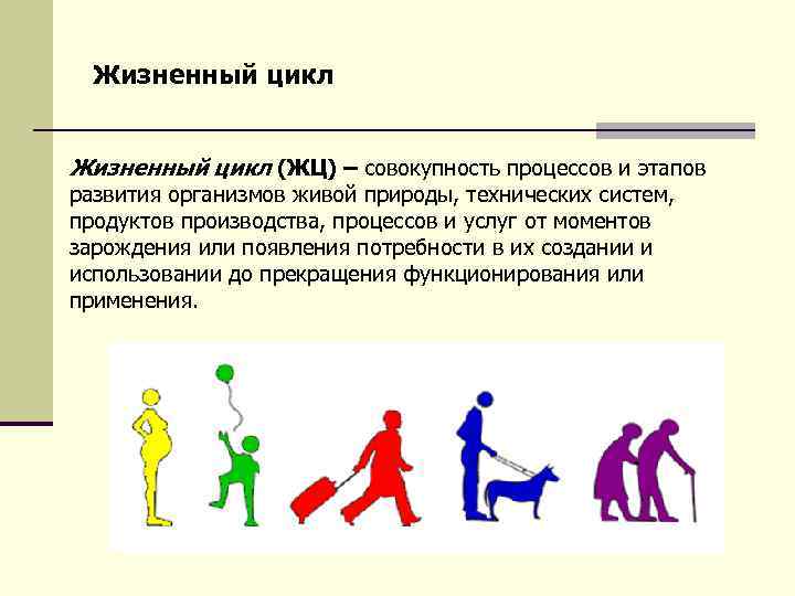 Жизненный цикл (ЖЦ) – совокупность процессов и этапов развития организмов живой природы, технических систем,