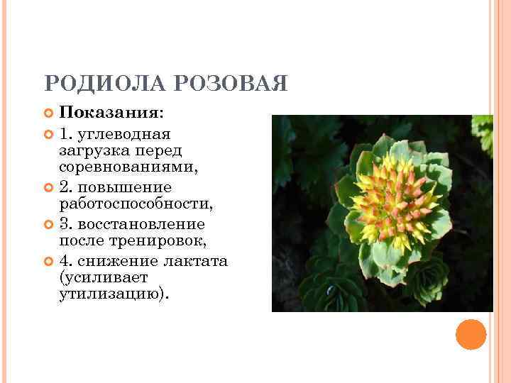 РОДИОЛА РОЗОВАЯ Показания: 1. углеводная загрузка перед соревнованиями, 2. повышение работоспособности, 3. восстановление после