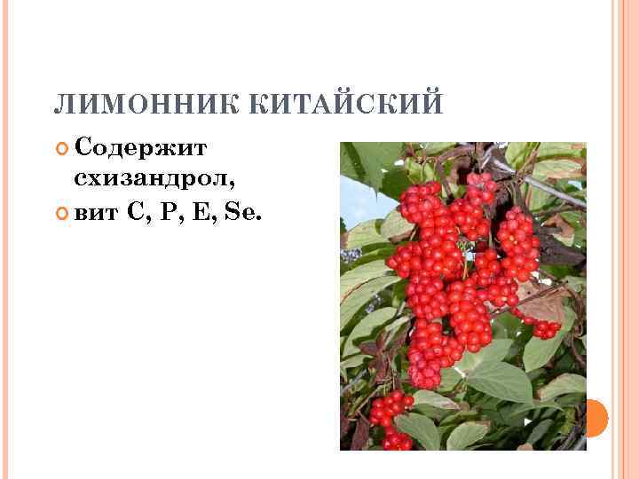 ЛИМОННИК КИТАЙСКИЙ Содержит схизандрол, вит С, Р, Е, Se. 