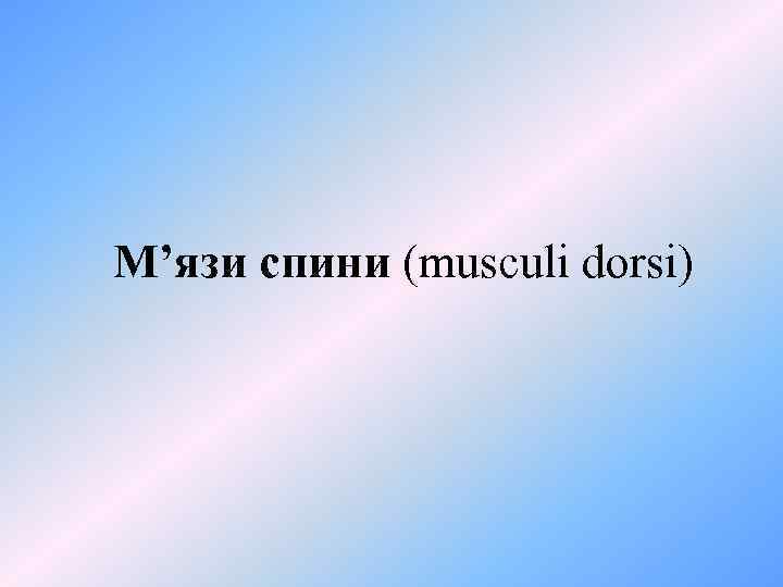 М’язи спини (musculi dorsi) 