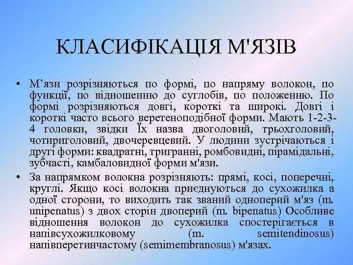 КЛАСИФІКАЦІЯ М'ЯЗІВ • М’язи розрізняються по формі, по напряму волокон, по функції, по відношенню