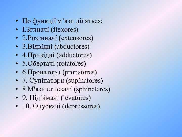  • • • По функції м’язи діляться: І. Згиначі (flexores) 2. Розгиначі (extensores)