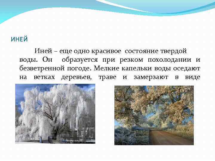 ИНЕЙ Иней – еще одно красивое состояние твердой воды. Он образуется при резком похолодании