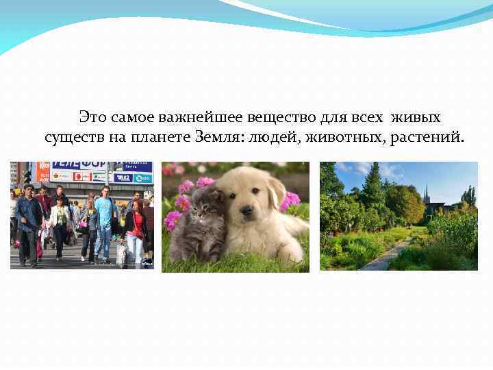 Это самое важнейшее вещество для всех живых существ на планете Земля: людей, животных, растений.