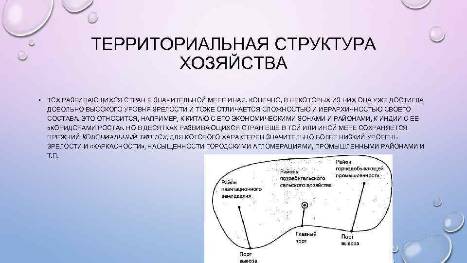 Особенности территориальной структуры развивающихся стран. ТСХ территориальная структура хозяйства. Территориальная структура хозяйства развивающихся стран. Территориальная структура хозяйства развитых стран. Территориальная структура.страны.