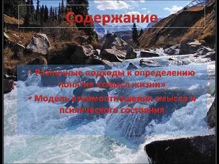 Содержание • Различные подходы к определению понятия «смысл жизни» • Модель взаимоотношения смысла и