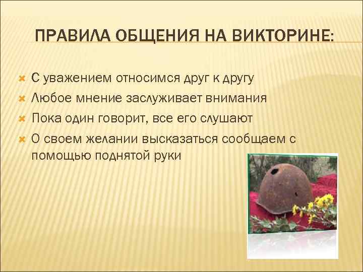 ПРАВИЛА ОБЩЕНИЯ НА ВИКТОРИНЕ: С уважением относимся друг к другу Любое мнение заслуживает внимания