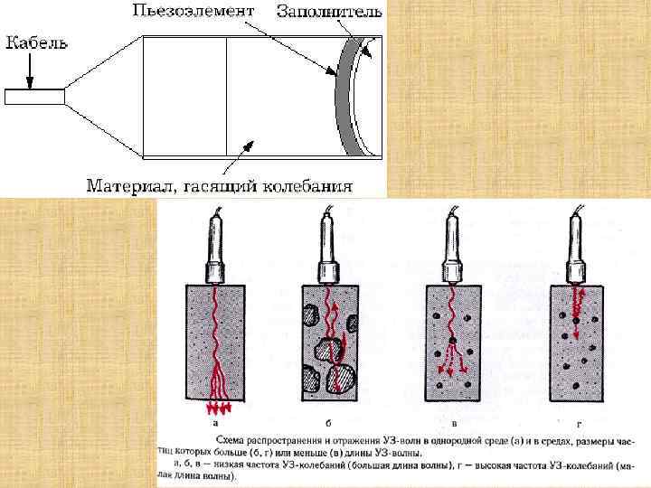 Введение в лучевую диагностику презентация