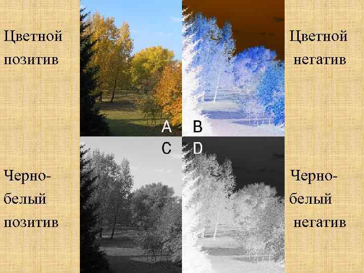 Цветной Цветной позитив негатив Черно- Чернобелый белый позитив негатив 