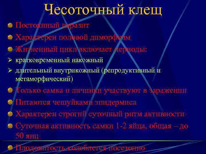 Чесоточный клещ Постоянный паразит Характерен половой диморфизм Жизненный цикл включает периоды: Ø кратковременный накожный