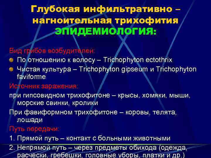 Глубокая инфильтративно – нагноительная трихофития ЭПИДЕМИОЛОГИЯ: Вид грибов возбудителей: По отношению к волосу –