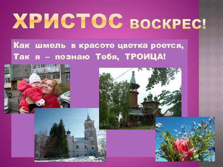 Как шмель в красоте цветка роется, Так я – познаю Тебя, ТРОИЦА! 