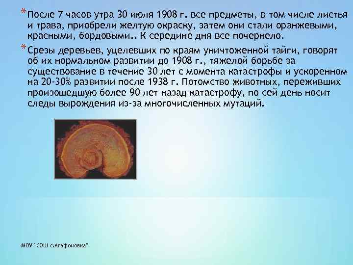 * После 7 часов утра 30 июля 1908 г. все предметы, в том числе