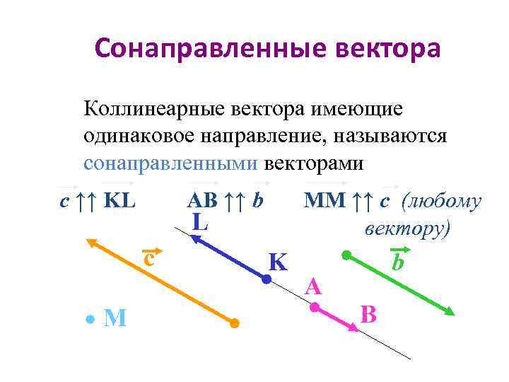 Любые два сонаправленных вектора равны