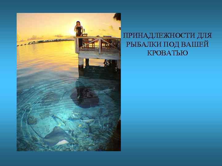 ПРИНАДЛЕЖНОСТИ ДЛЯ РЫБАЛКИ ПОД ВАШЕЙ КРОВАТЬЮ 