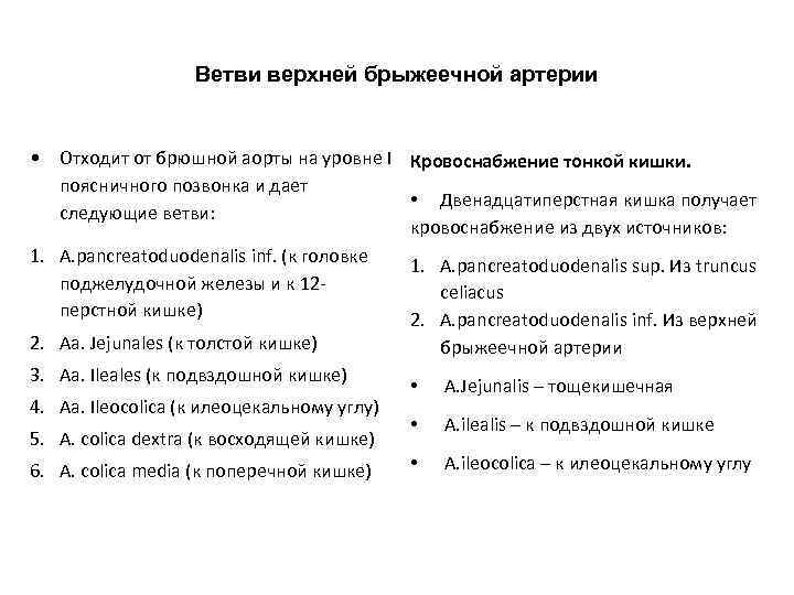 Ветви верхней брыжеечной артерии • Отходит от брюшной аорты на уровне I Кровоснабжение тонкой