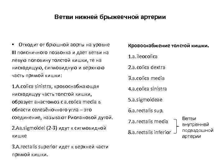 Ветви нижней брыжеечной артерии • Отходит от брюшной аорты на уровне III поясничного позвонка