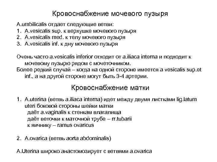 Кровоснабжение мочевого пузыря A. umbilicalis отдает следующие ветви: 1. A. vesicalis sup. к верхушке
