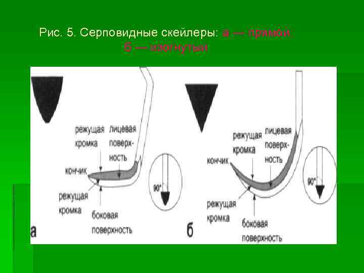 Рис. 5. Серповидные скейлеры: а — прямой; б — изогнутый 