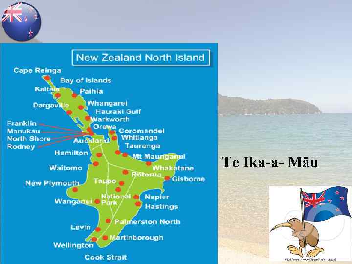  Te Ika-a- Māu 