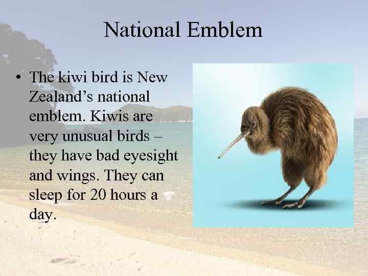 National Emblem • The kiwi bird is New Zealand’s national emblem. Kiwis are very