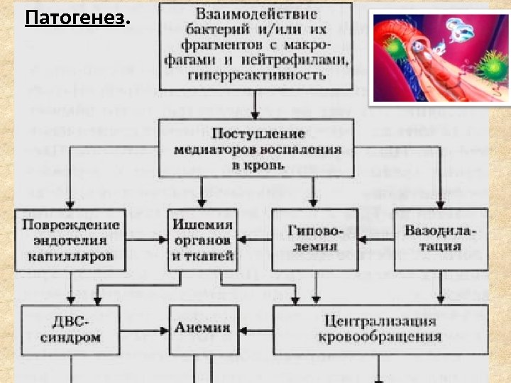 Пиелонефрит карта сестринского процесса