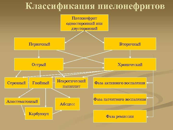 Классификация пиелонефритов Пиелонефрит односторонний или двусторонний Первичный Острый Серозный Вторичный Хронический Гнойный Апостематозный Карбункул