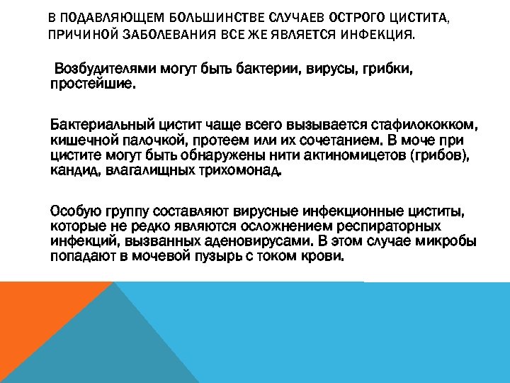 В ПОДАВЛЯЮЩЕМ БОЛЬШИНСТВЕ СЛУЧАЕВ ОСТРОГО ЦИСТИТА, ПРИЧИНОЙ ЗАБОЛЕВАНИЯ ВСЕ ЖЕ ЯВЛЯЕТСЯ ИНФЕКЦИЯ. Возбудителями могут