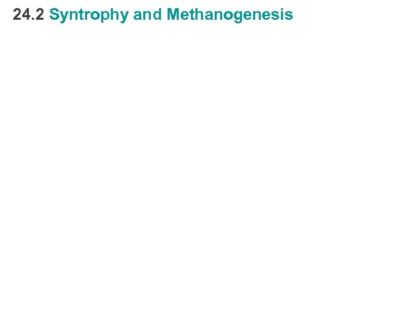 24. 2 Syntrophy and Methanogenesis 