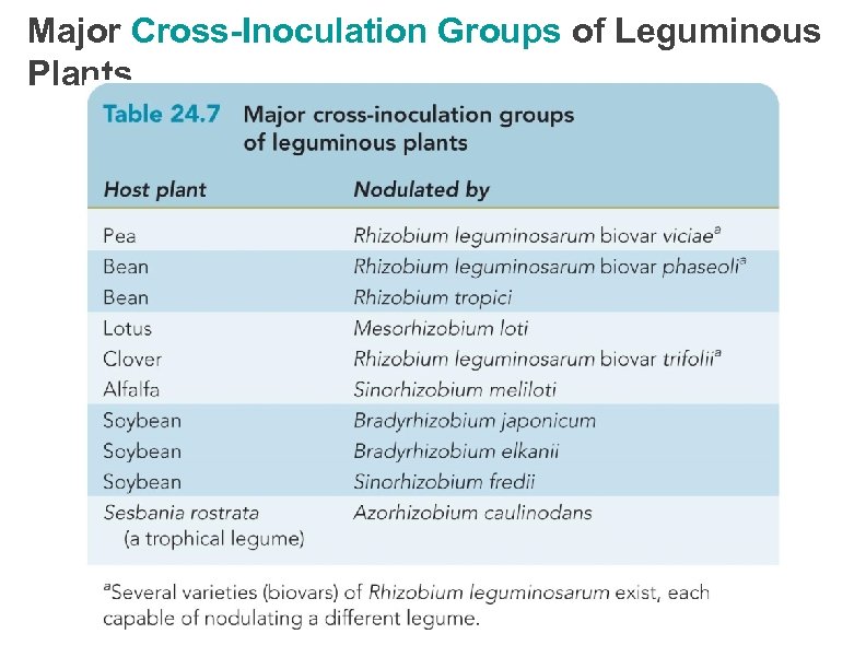 Major Cross-Inoculation Groups of Leguminous Plants 
