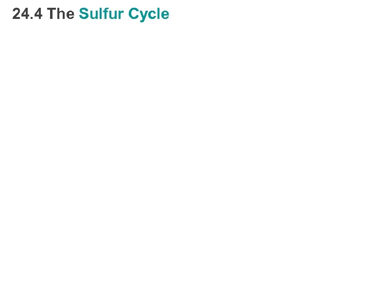 24. 4 The Sulfur Cycle 