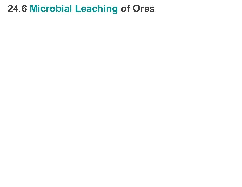 24. 6 Microbial Leaching of Ores 