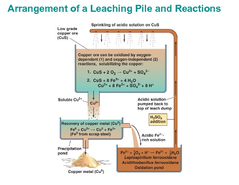 Arrangement of a Leaching Pile and Reactions 