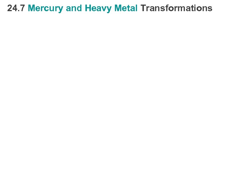 24. 7 Mercury and Heavy Metal Transformations 
