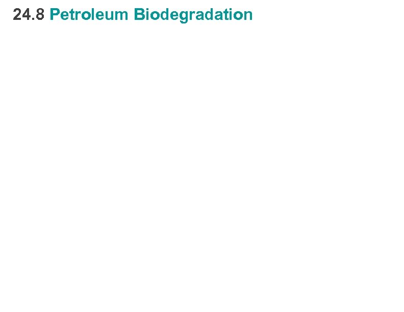 24. 8 Petroleum Biodegradation 
