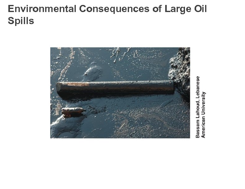 Environmental Consequences of Large Oil Spills 