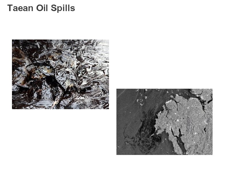 Taean Oil Spills 