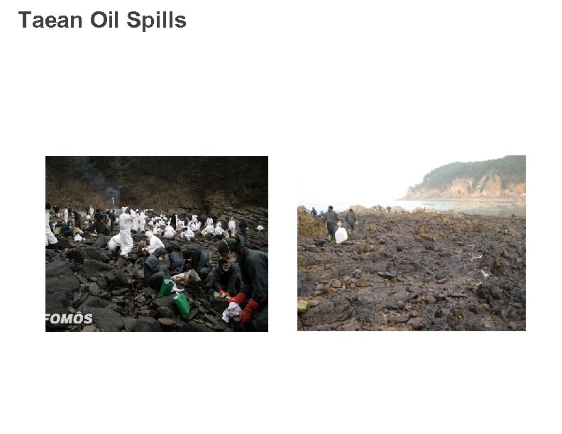 Taean Oil Spills 