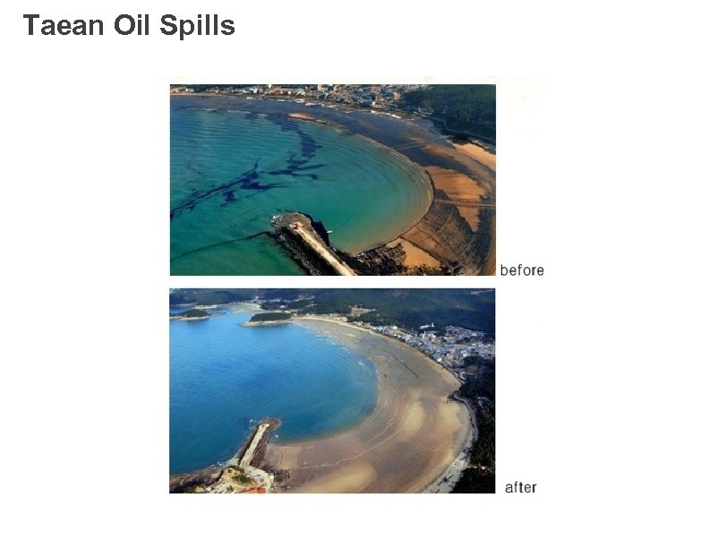 Taean Oil Spills 