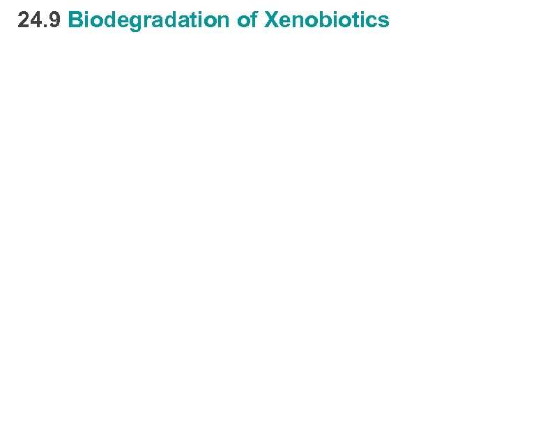 24. 9 Biodegradation of Xenobiotics 