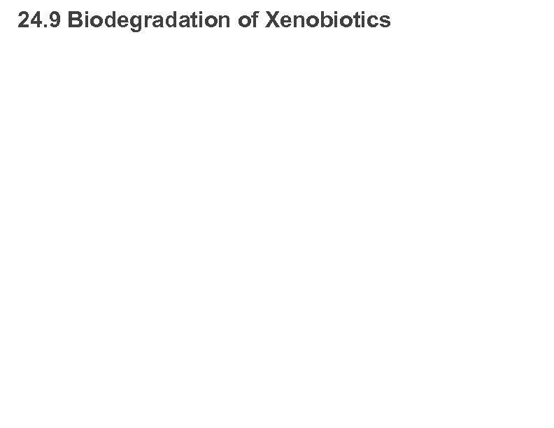 24. 9 Biodegradation of Xenobiotics 