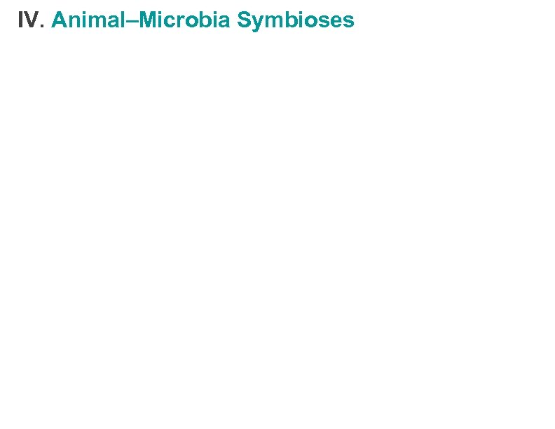 IV. Animal–Microbia Symbioses 