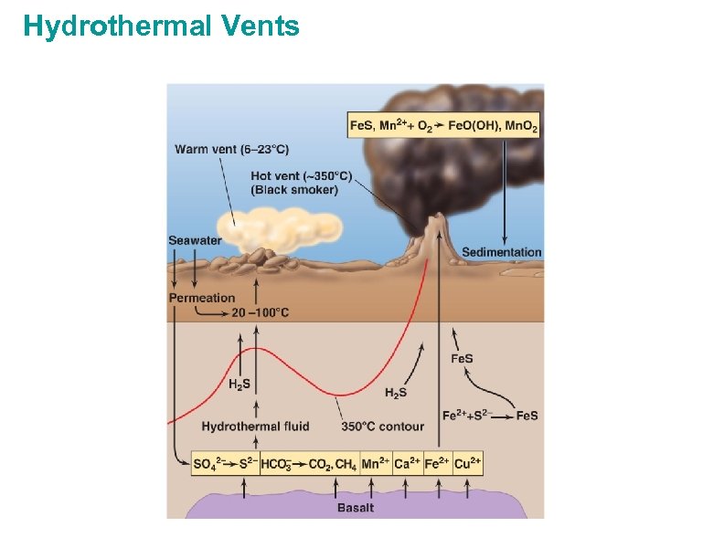 Hydrothermal Vents 